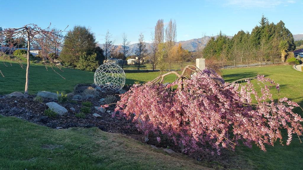 Wanaka Alpine Lodge Exteriér fotografie